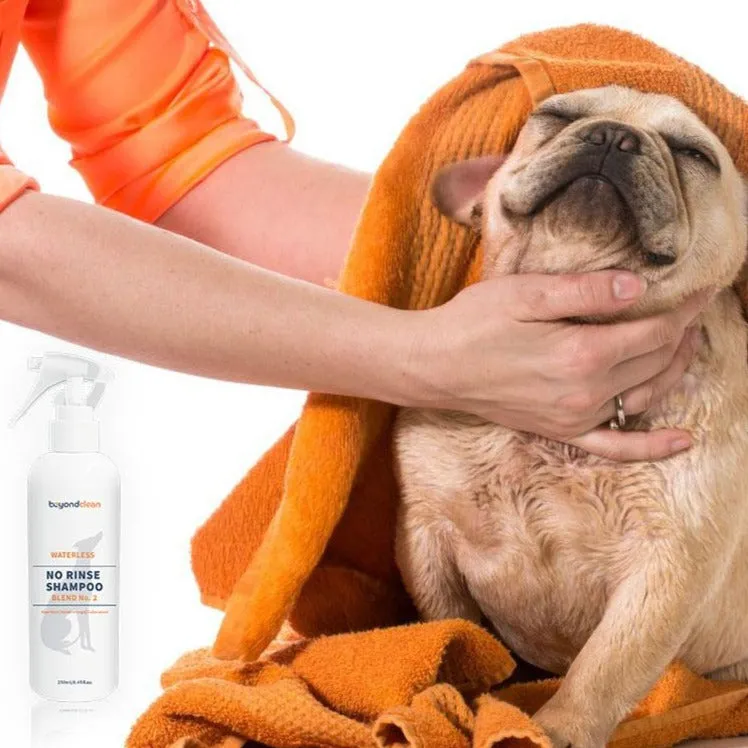 Beyond Clean Blend No.2 Organic Sweet Orange Waterless No Rinse Shampoo Spray For Dogs