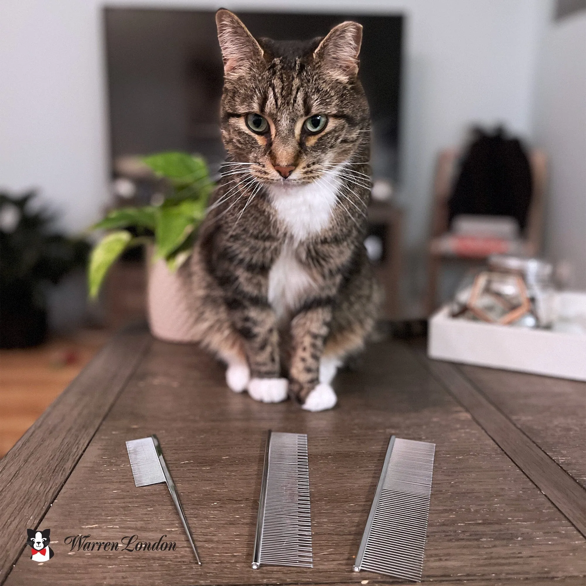 Carding Cat Comb