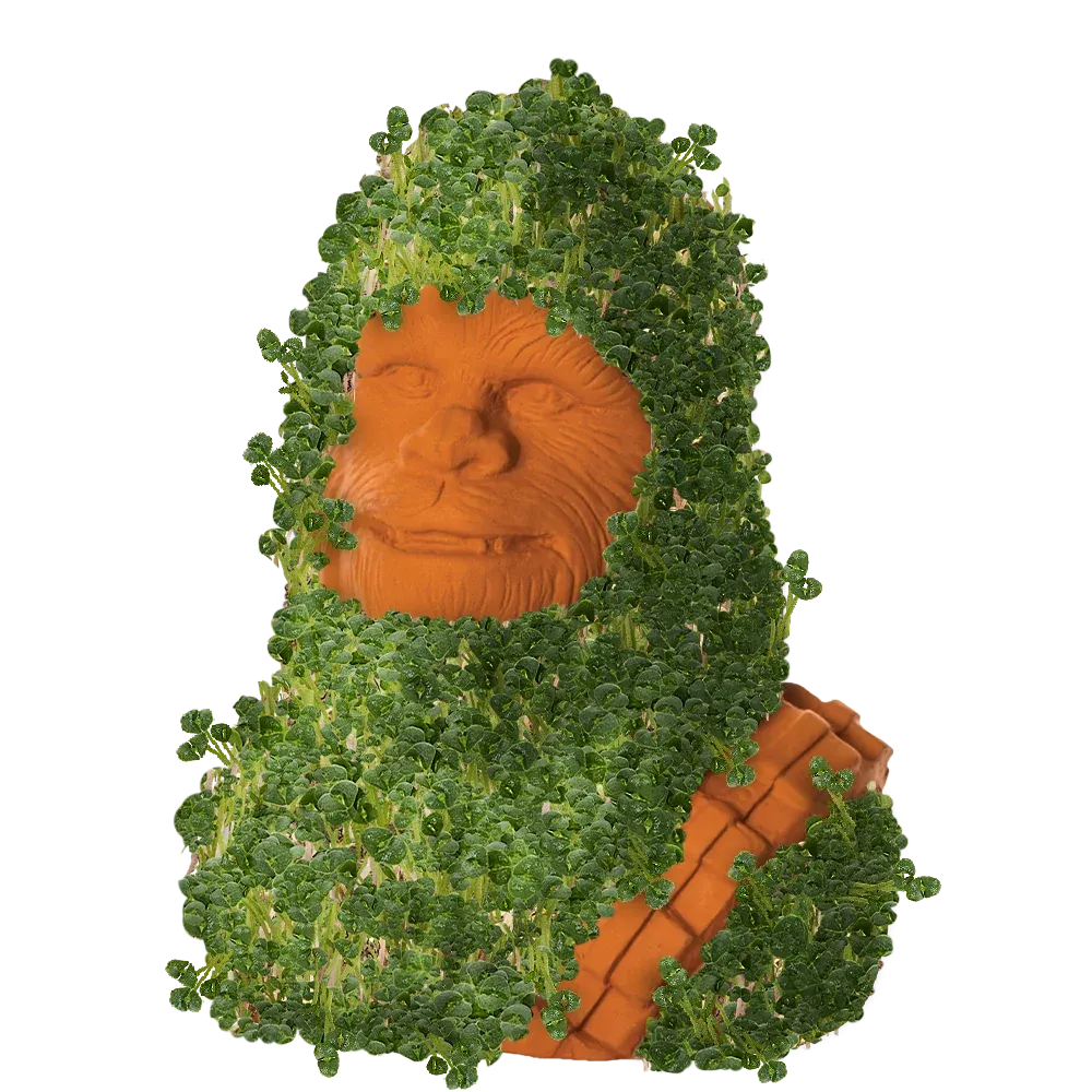 CHEWBACCA CHIA PET