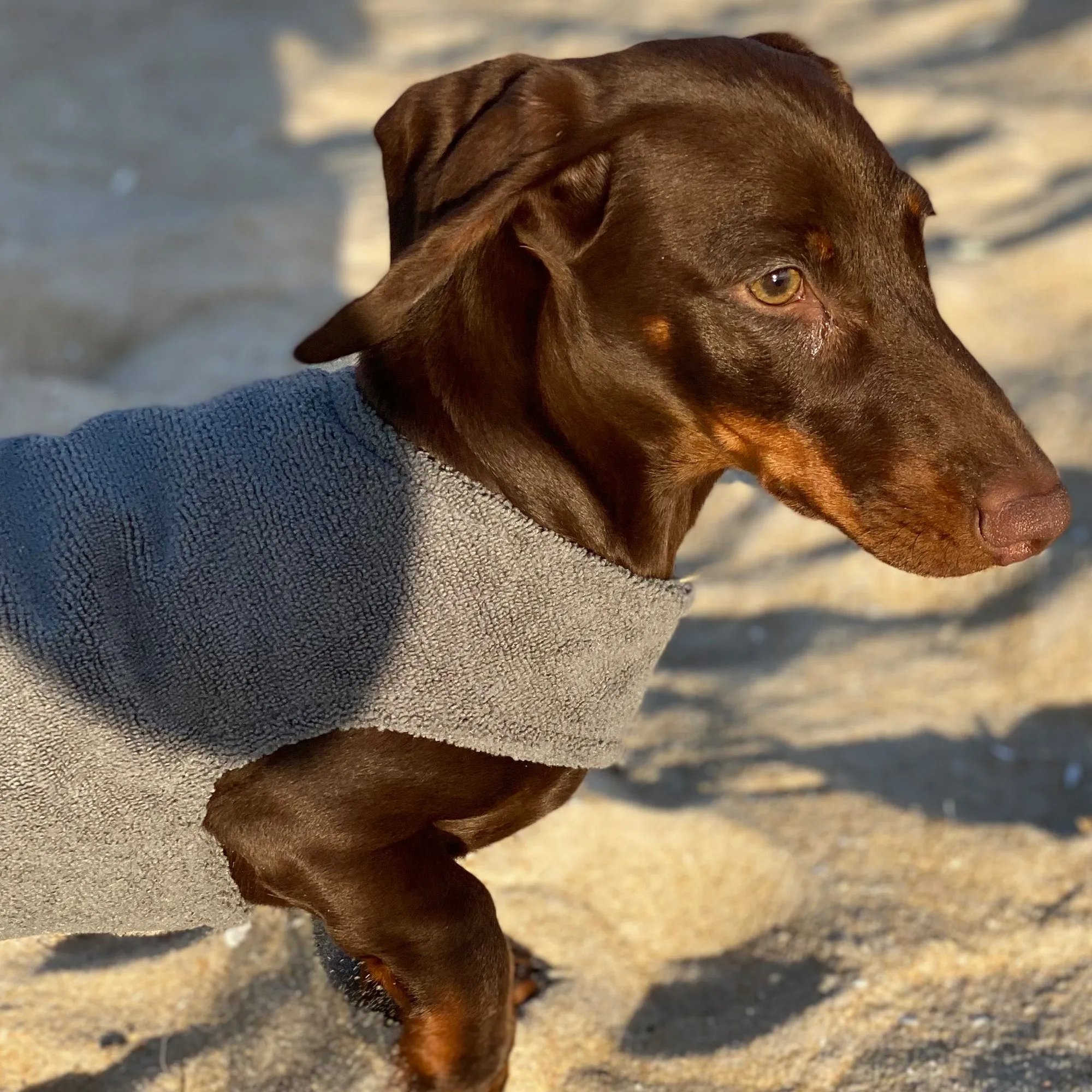 Dog Cooling Coat Jacket - Small Breed Microfibre Towel Vest - Grey