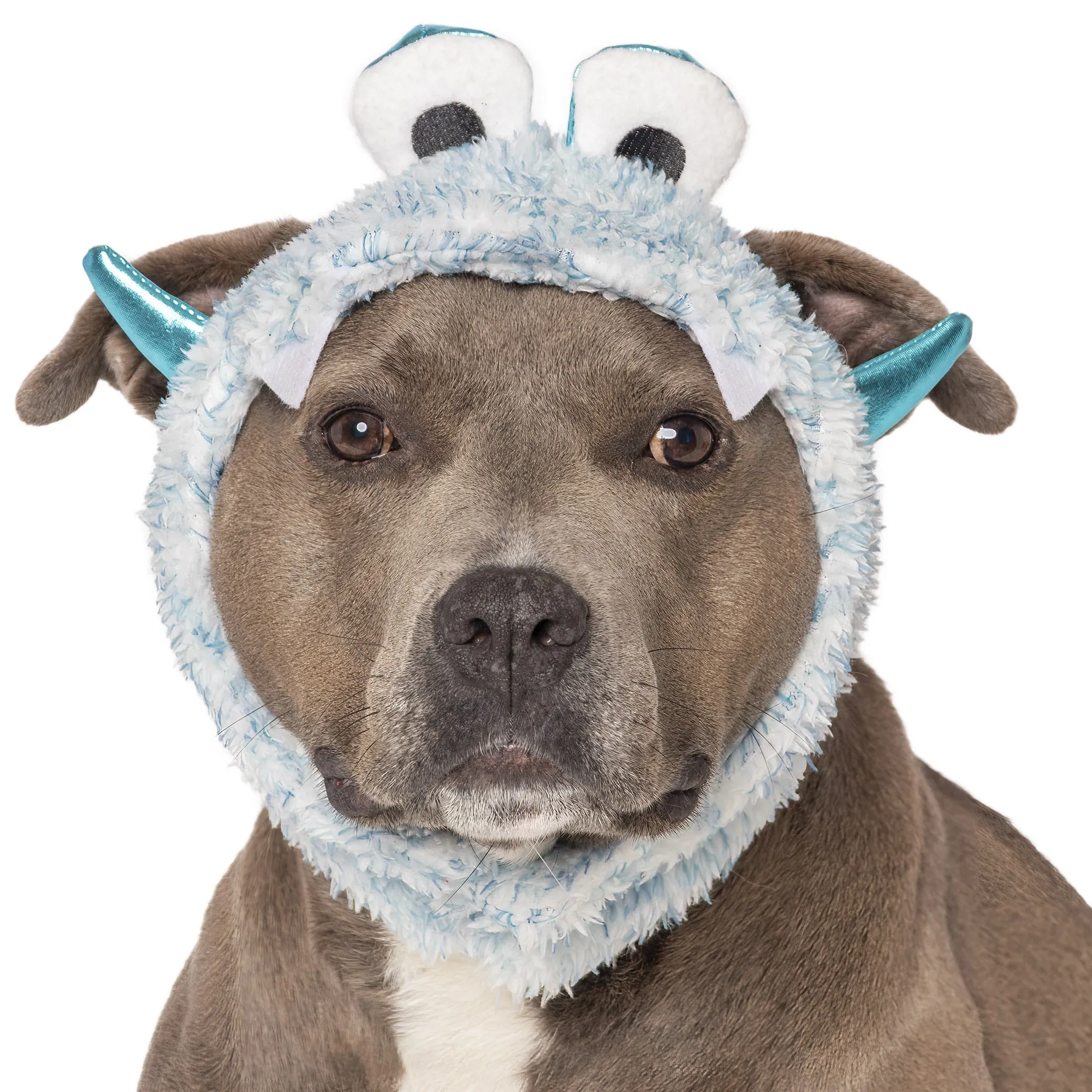 Flex-Fit Costume Hat (Coordinates with Flex-Fit Reversible Dog Coat)