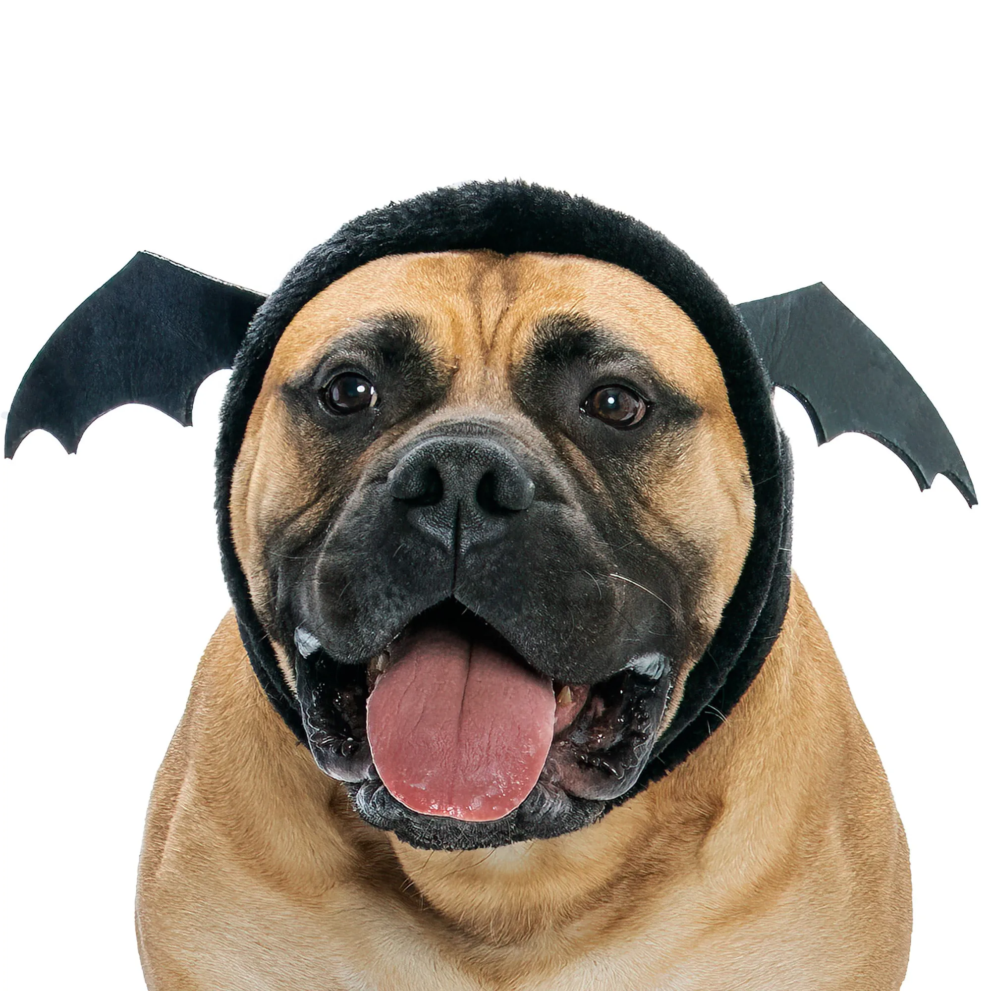 Flex-Fit Costume Hat (Coordinates with Flex-Fit Reversible Dog Coat)