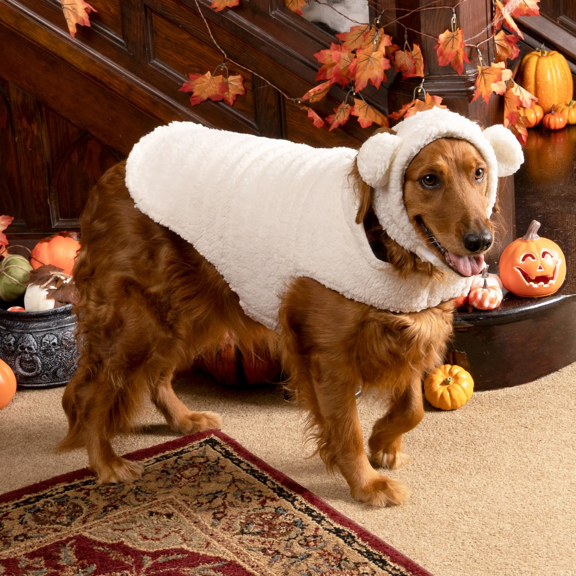 Flex-Fit Costume Hat (Coordinates with Flex-Fit Reversible Dog Coat)