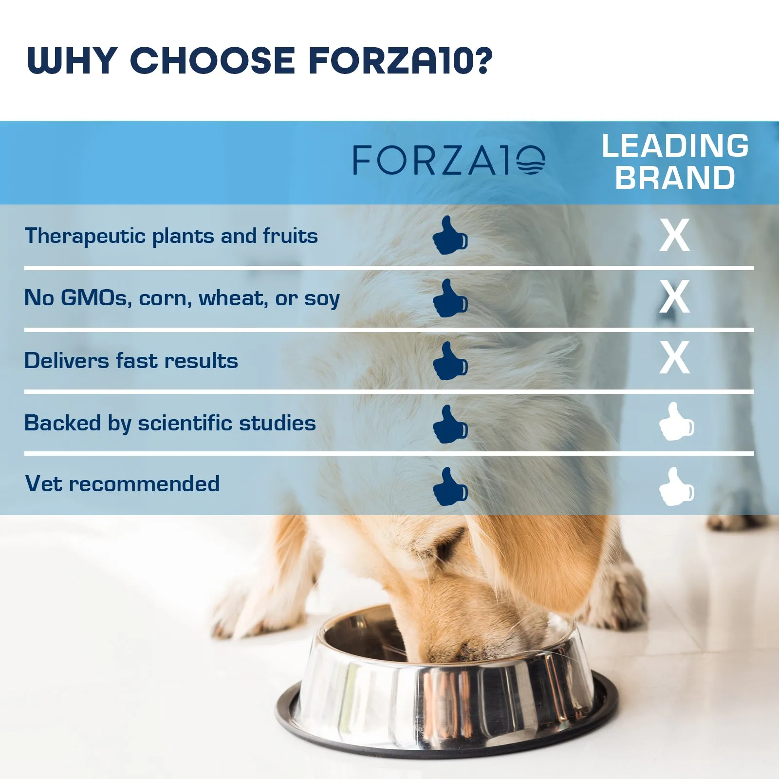 Forza10 Nutraceutic Active Line OTO Support Diet Dry Dog Food