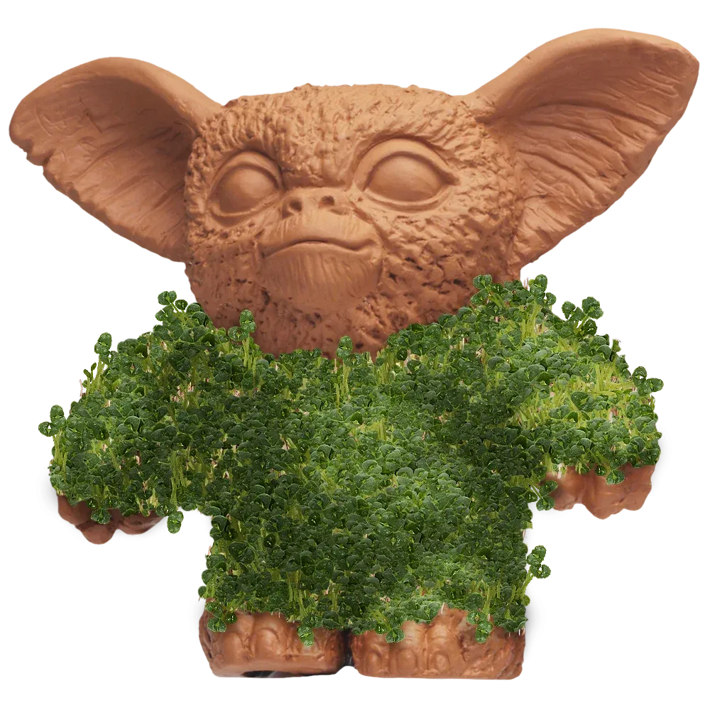 GIZMO CHIA PET