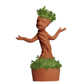 GROOT CHIA PET