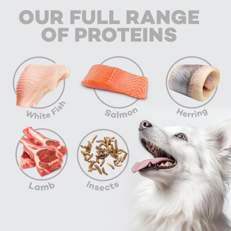 Nature's Protection Superior Care White Dogs Grain-Free Dental Supplemental Treats Soft And Moist, White Fish