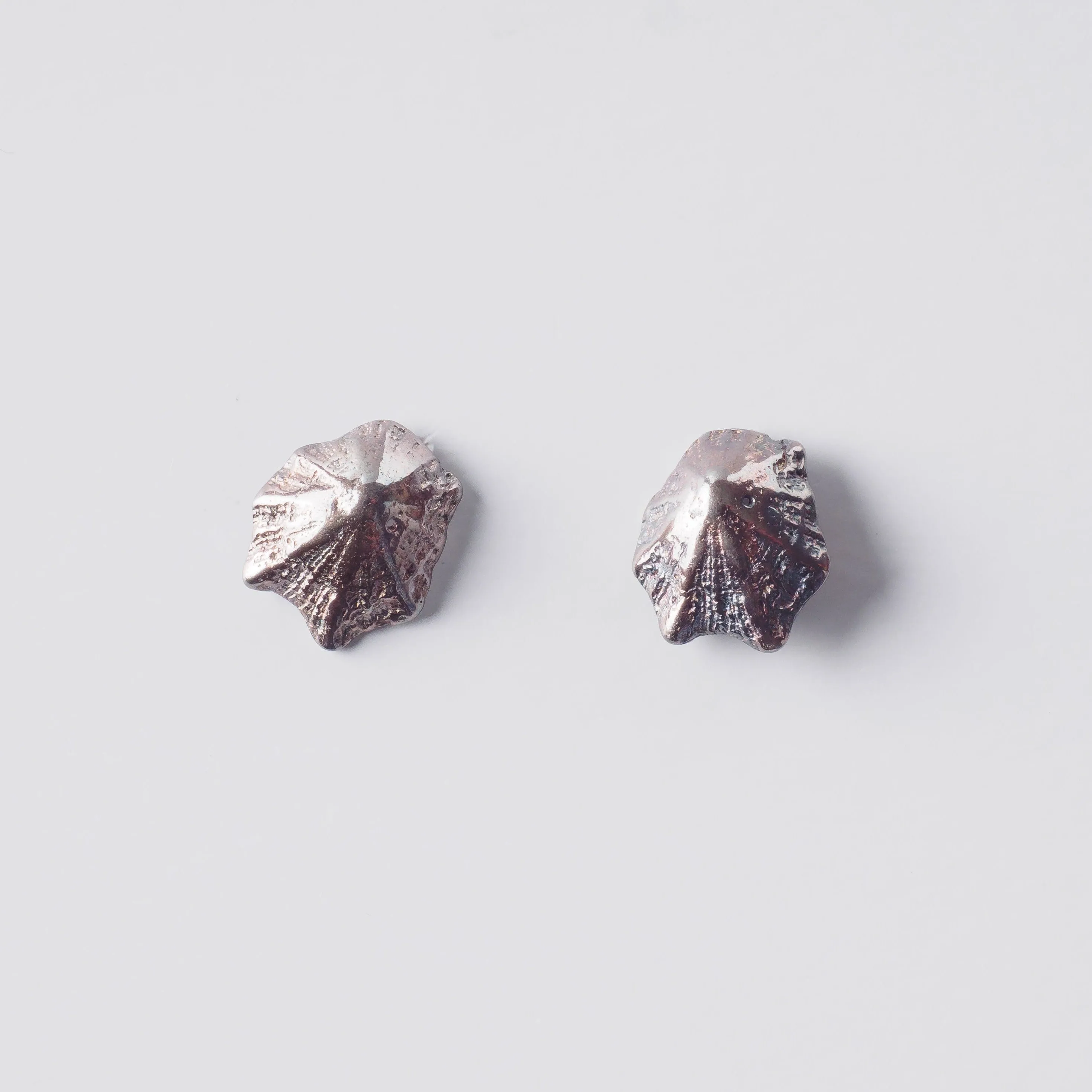 Rock limpet - stud earrings - silver 925 - rainbow patina