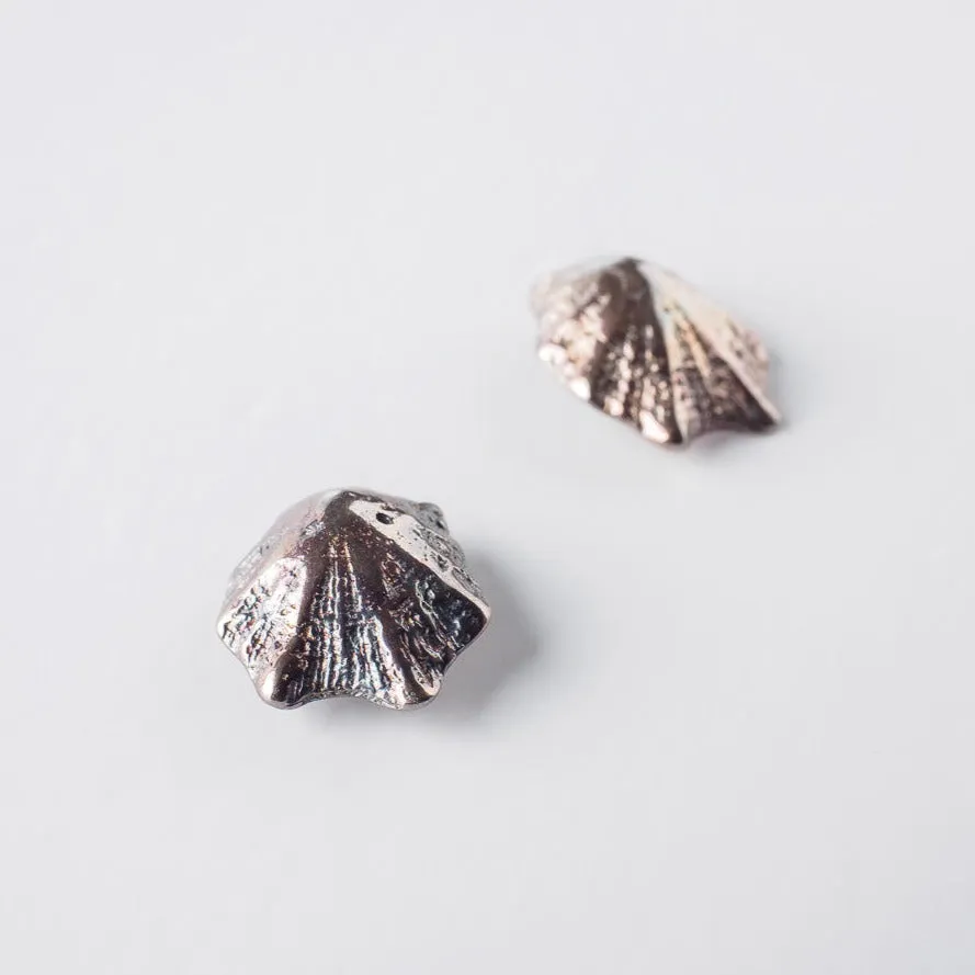 Rock limpet - stud earrings - silver 925 - rainbow patina