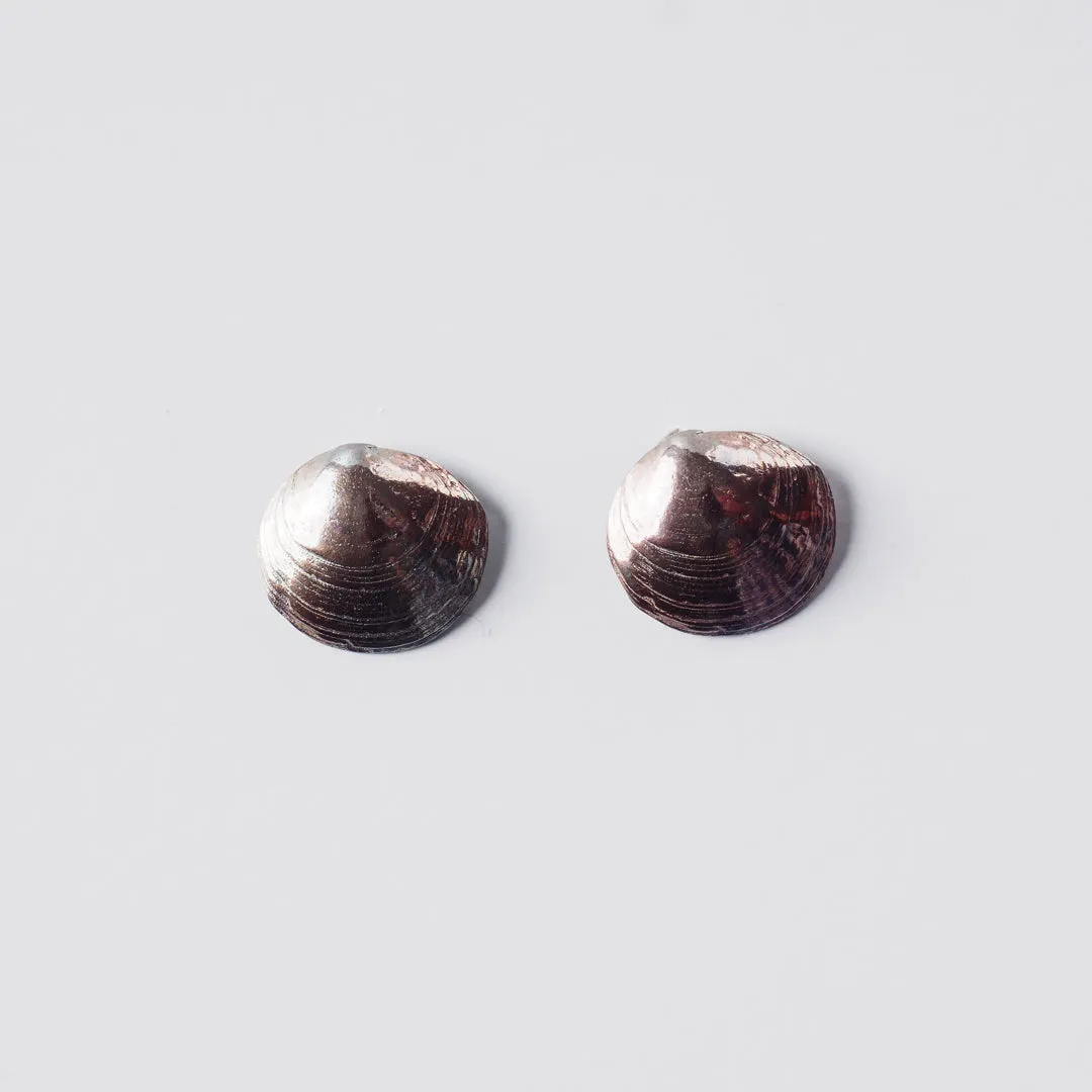 Romantic clams - stud earrings - silver 925 - rainbow patina