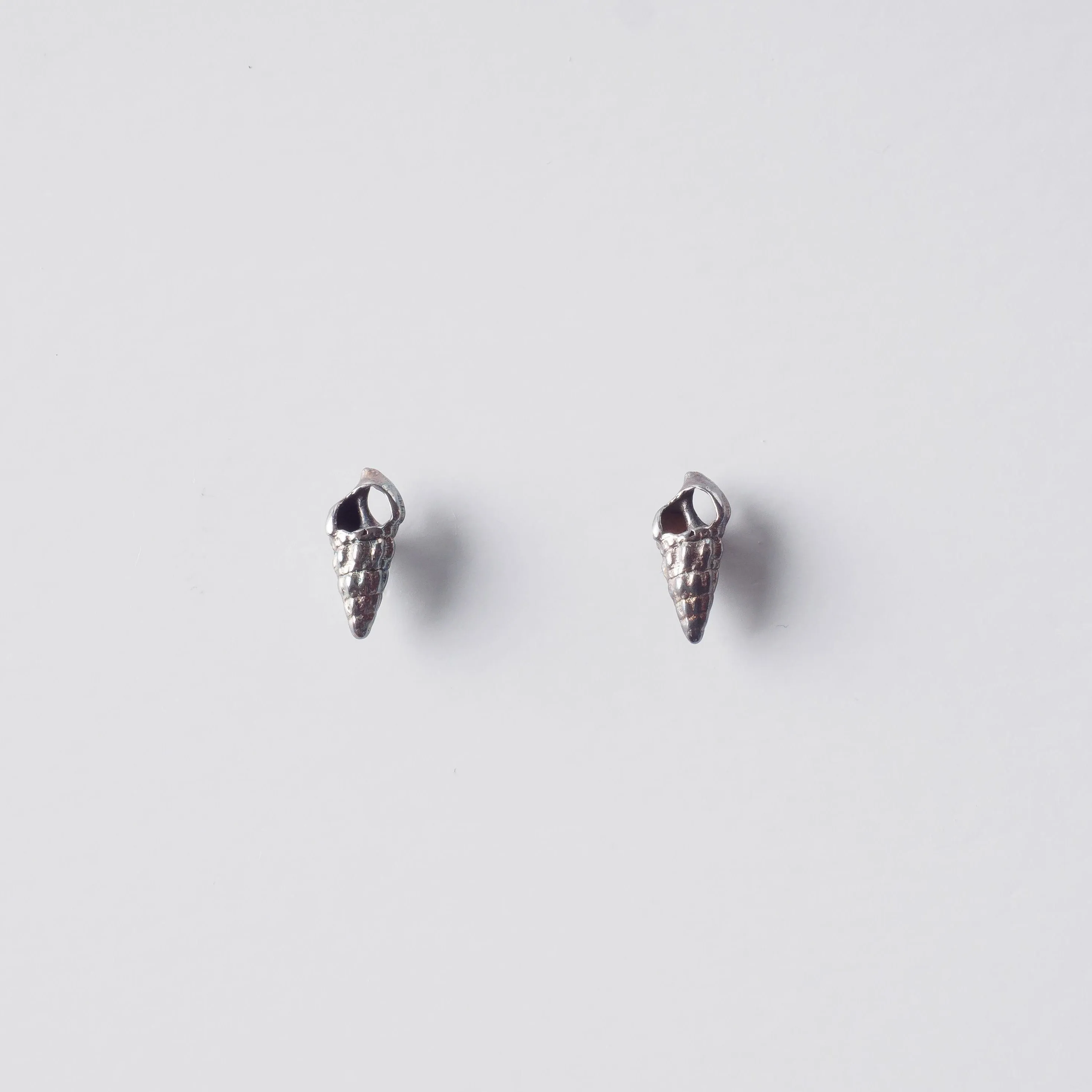 Romantic seashell - stud earrings - silver 925 - rainbow patina