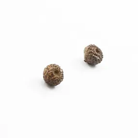 Small round seeds of the forest - stud earrings - silver 925 - rainbow patina